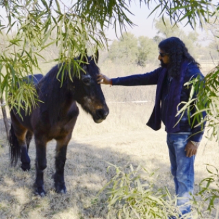 Mohanji healing the horse
